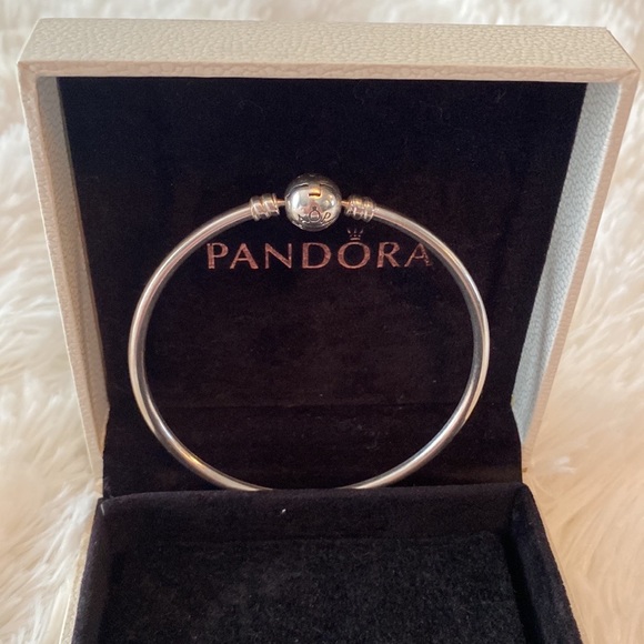 Pandora Moments Bangle - Picture 14 of 16